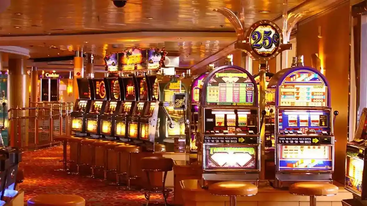 shark pg slot